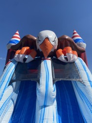 IMG 1039 1765513545 MEGA Eagle Bounce House and Slide