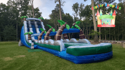 Untitled20design20 201 1765432557 22' Tropical Marble Dual Lane Extended Slide