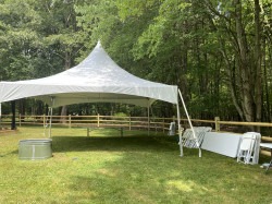 IMG 2269 1770233427 Package 1 - 20x20